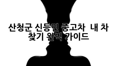 산청군 신등면 중고차, 🚗 내 차 찾기 완벽 가이드!
